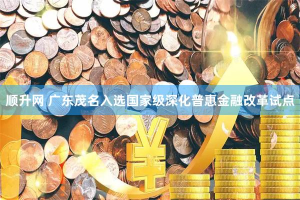 顺升网 广东茂名入选国家级深化普惠金融改革试点