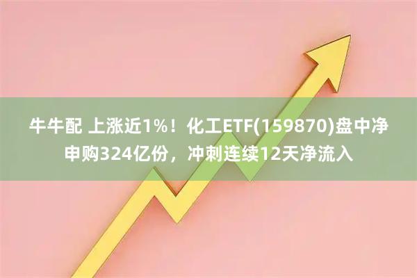 牛牛配 上涨近1%！化工ETF(159870)盘中净申购324亿份，冲刺连续12天净流入