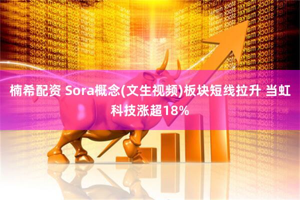 楠希配资 Sora概念(文生视频)板块短线拉升 当虹科技涨超18%