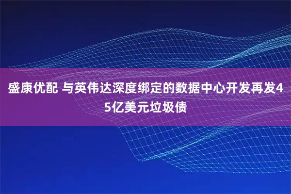 盛康优配 与英伟达深度绑定的数据中心开发再发45亿美元垃圾债