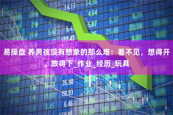 易操盘 养男孩没有想象的那么难：看不见，想得开，放得下_作业_经历_玩具