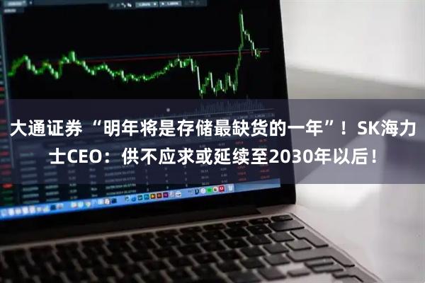 大通证券 “明年将是存储最缺货的一年”!SK海力士CEO:供不应求或延续至2030年以后!