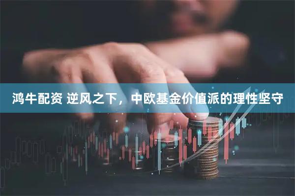 鸿牛配资 逆风之下，中欧基金价值派的理性坚守