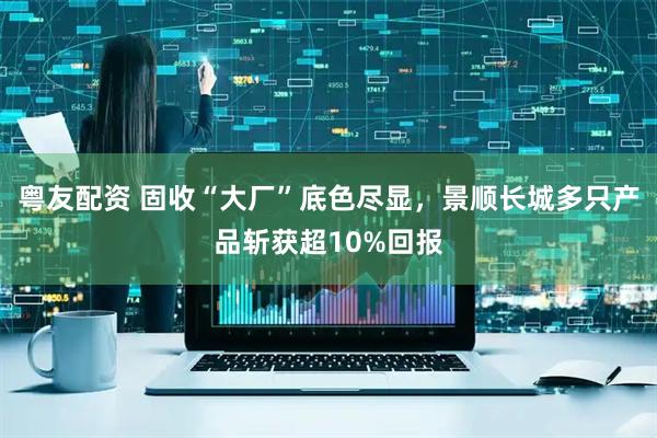 粤友配资 固收“大厂”底色尽显，景顺长城多只产品斩获超10%回报
