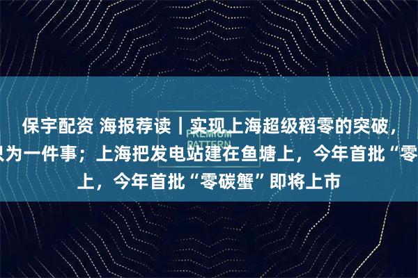 保宇配资 海报荐读｜实现上海超级稻零的突破，他的二十多年只为一件事；上海把发电站建在鱼塘上，今年首批“零碳蟹”即将上市