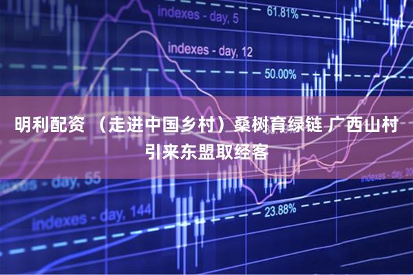 明利配资 （走进中国乡村）桑树育绿链 广西山村引来东盟取经客