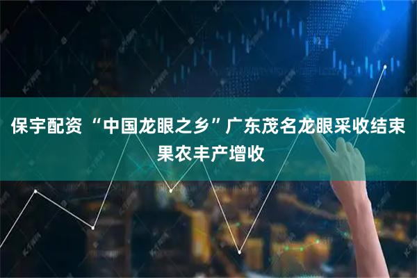保宇配资 “中国龙眼之乡”广东茂名龙眼采收结束 果农丰产增收